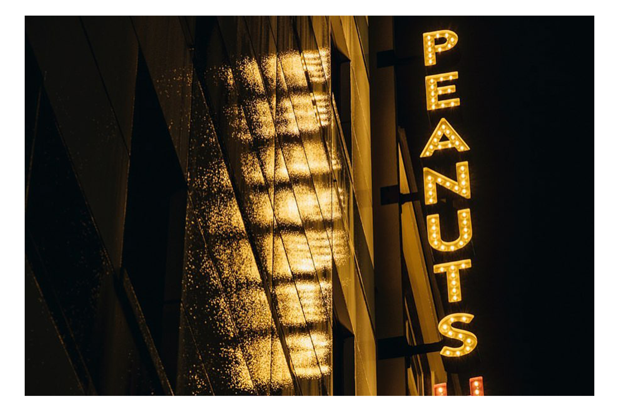 PEANUTS HOTEL-3