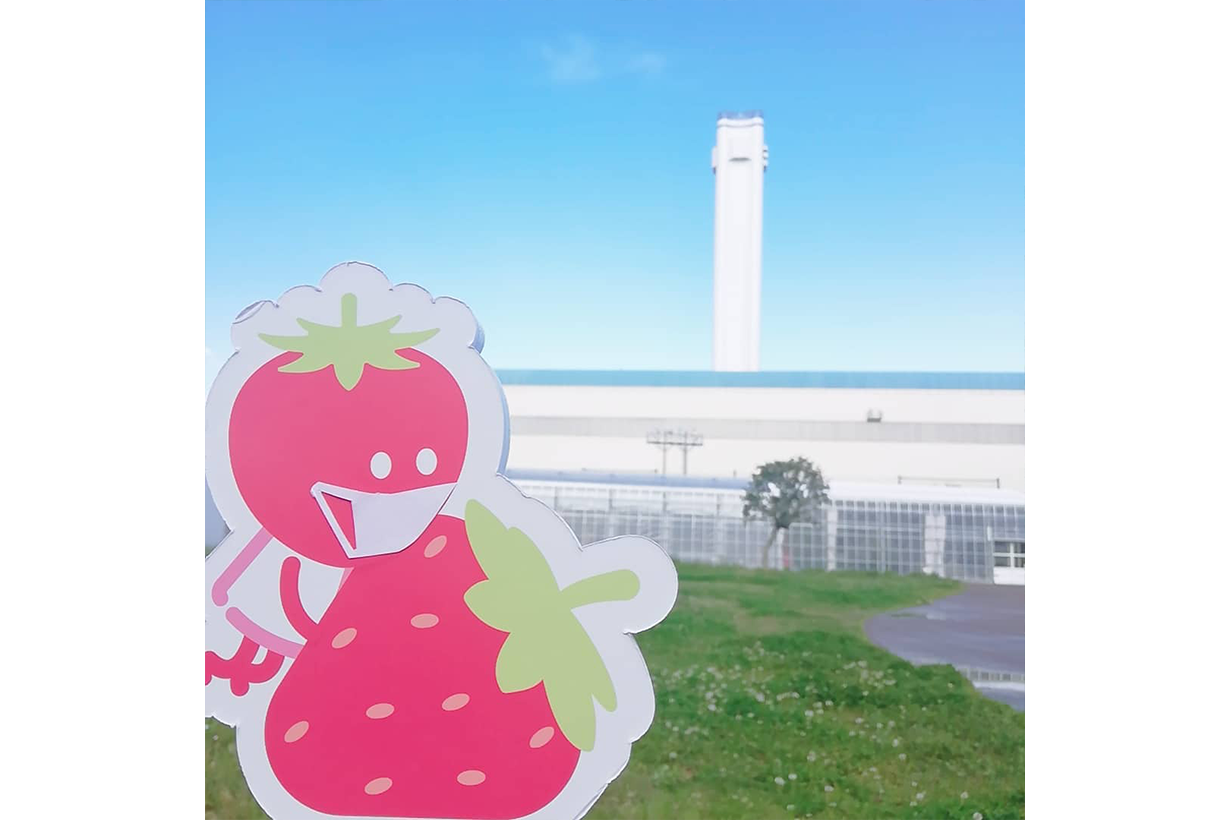 tokyo.strawberry.park