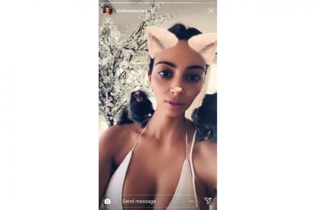Kim Kardashian Instagram Monkey
