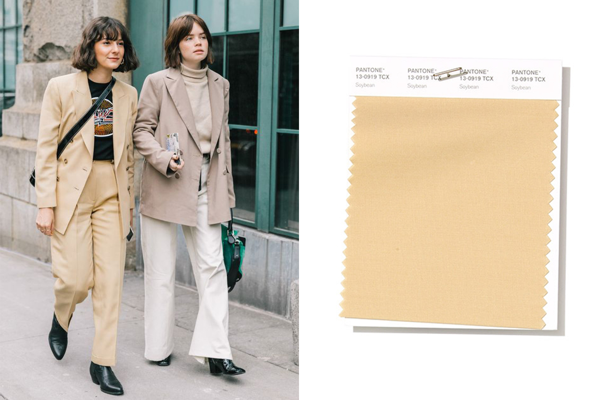 Soybean colour trend street style