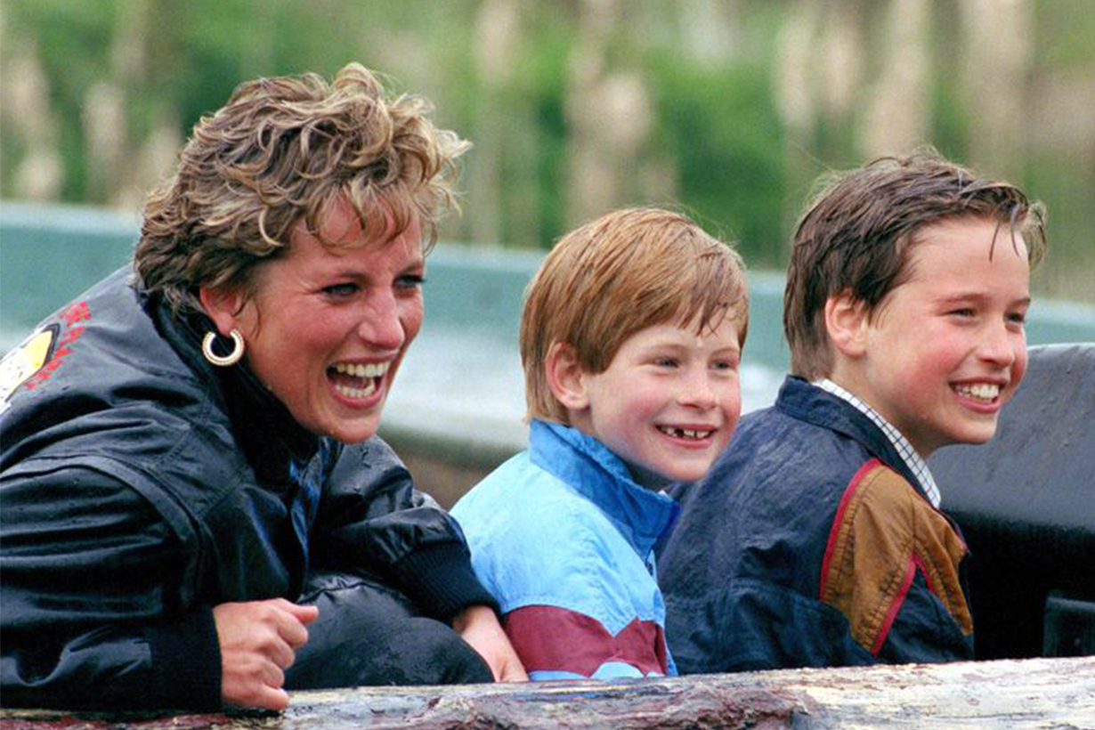 Princess Diana Prince William Prince Harry Family