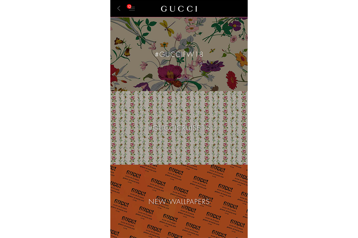 Gucci wallpapers