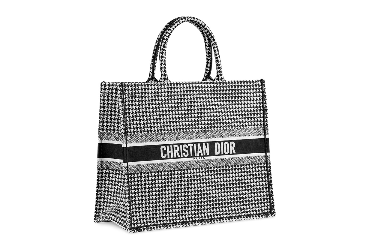 Dior-book-tote bag