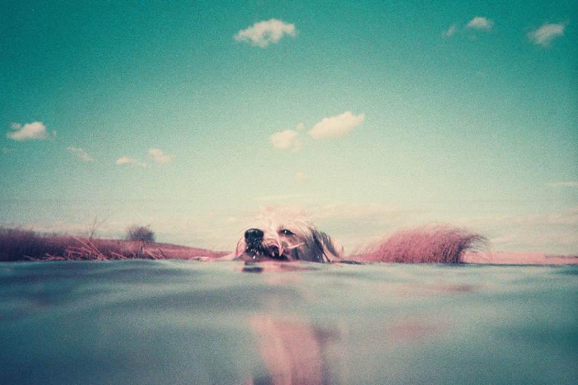 Lomography Simple Use Underwater Case Summer