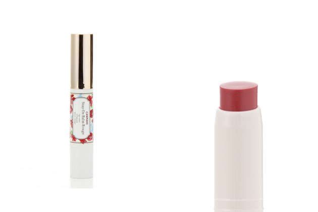 canmake recommend makeup japanese mascara lip tint nail polish eye base