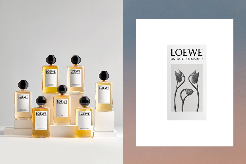 Loewe 無性別香水系列 Un Paseo por Madrid 一次擁有最誘人的選擇！