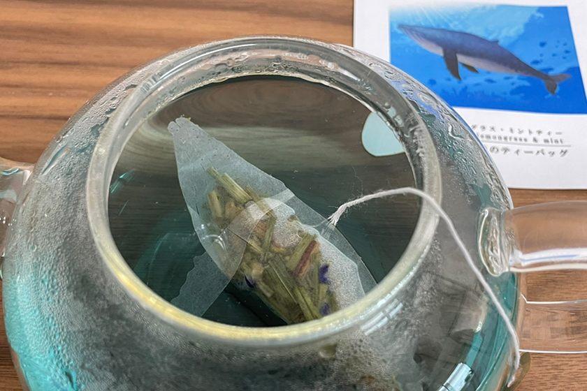 Ocean-Teabag Animal themed sea life-shaped Tea Bag