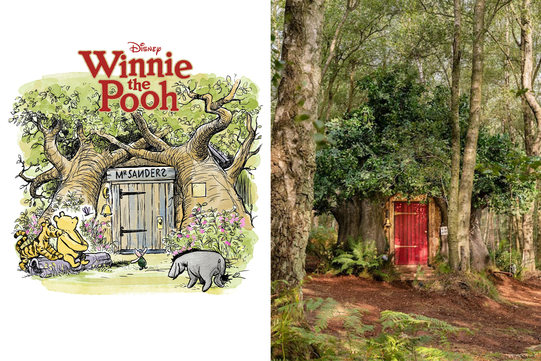 Disney-&-Airbnb-made-a-real-Winnie-the-Pooh-house-to-rent-01