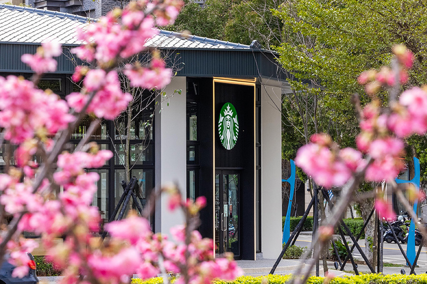 Starbucks Linkou New Store opening sakura Cups