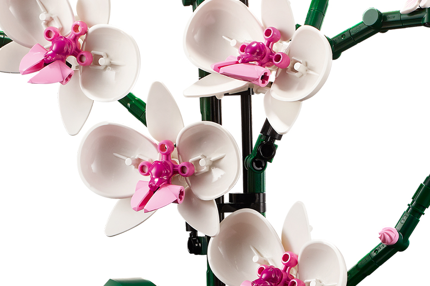 LEGO Orchid 10311 Succulents 10309