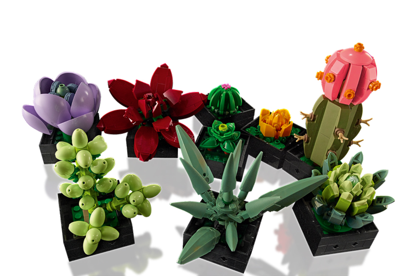 LEGO Orchid 10311 Succulents 10309