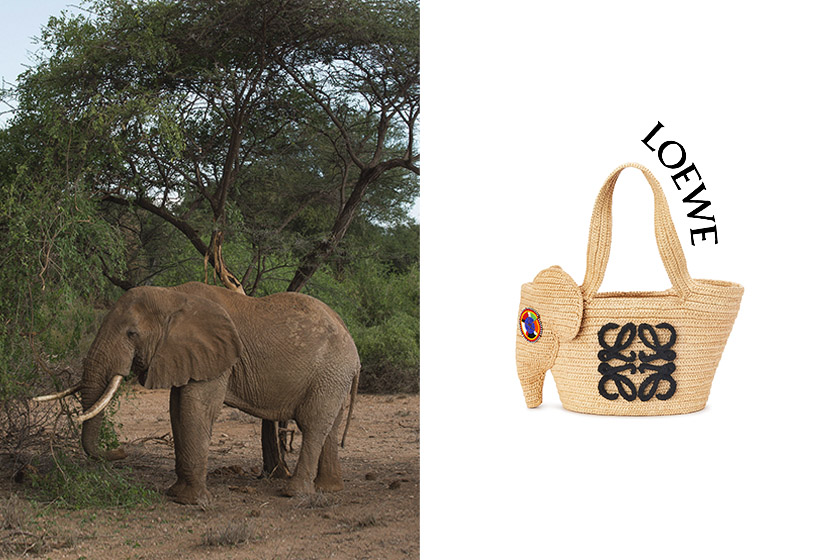 第四年合作：Loewe 新登場大象手袋，不只可愛還有令人拍手的細節！
