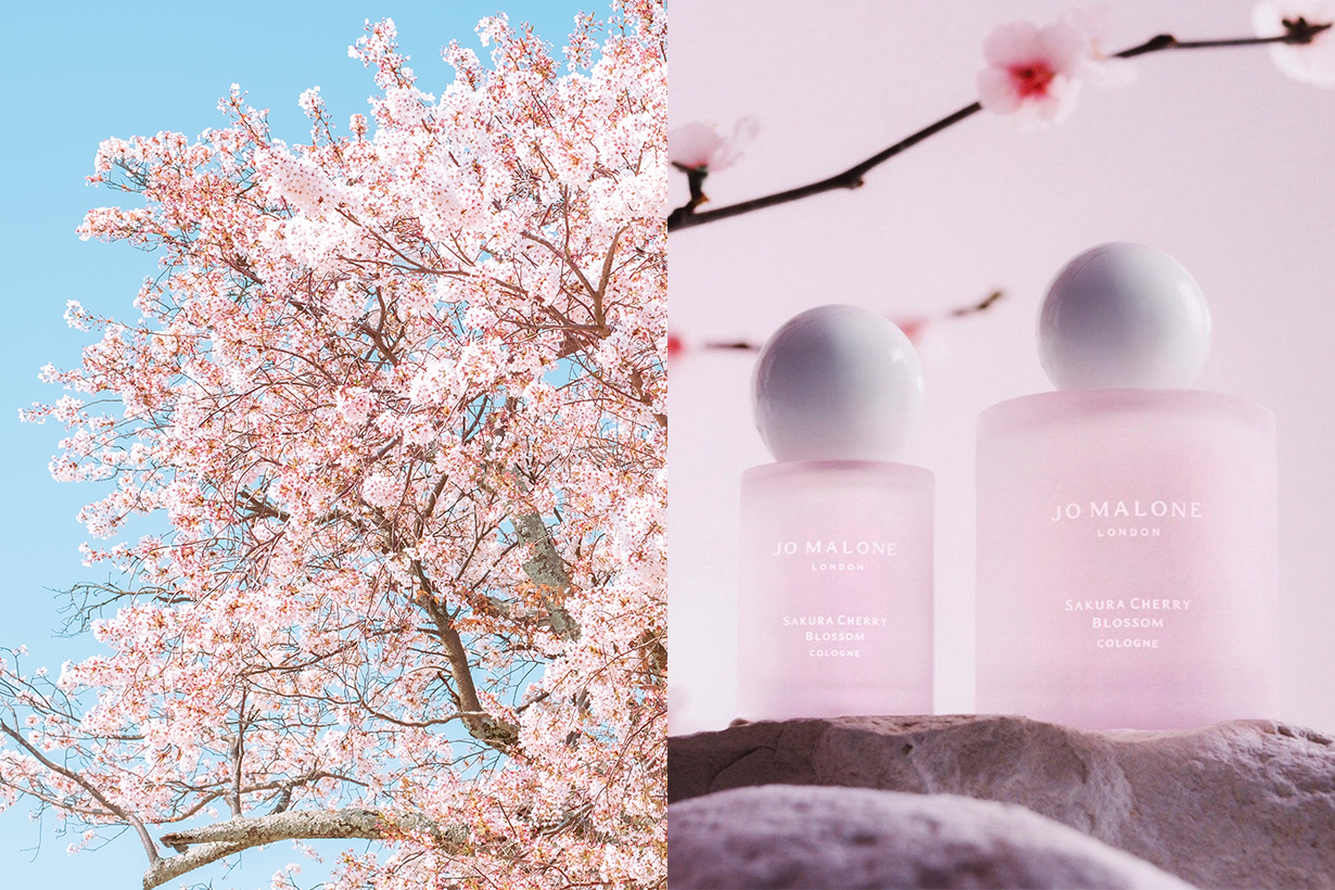 4 大櫻花香水推薦夢幻粉紅配清新香氣，讓櫻花氣息長伴你身旁！